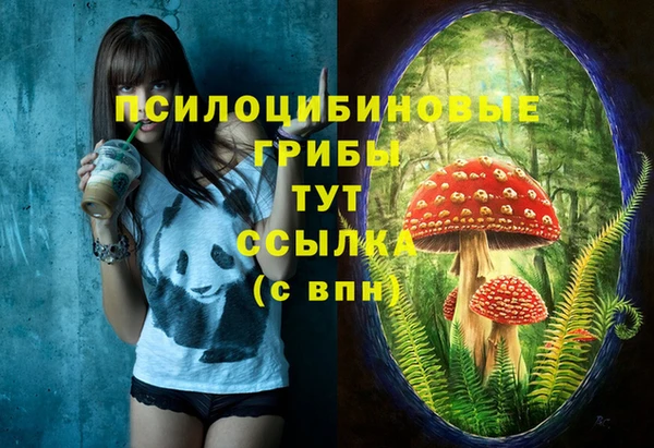меф VHQ Гусиноозёрск
